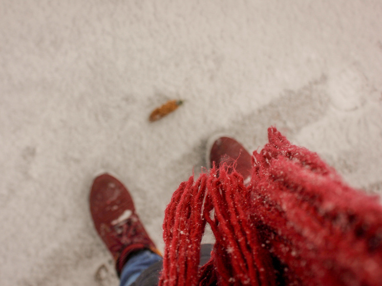     Фото: Архив МК в Питере.