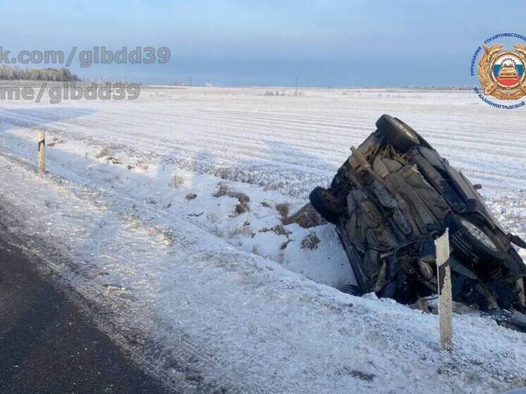     Фото: официальный телеграм-канал Госавтоинспекции Калининградской области
