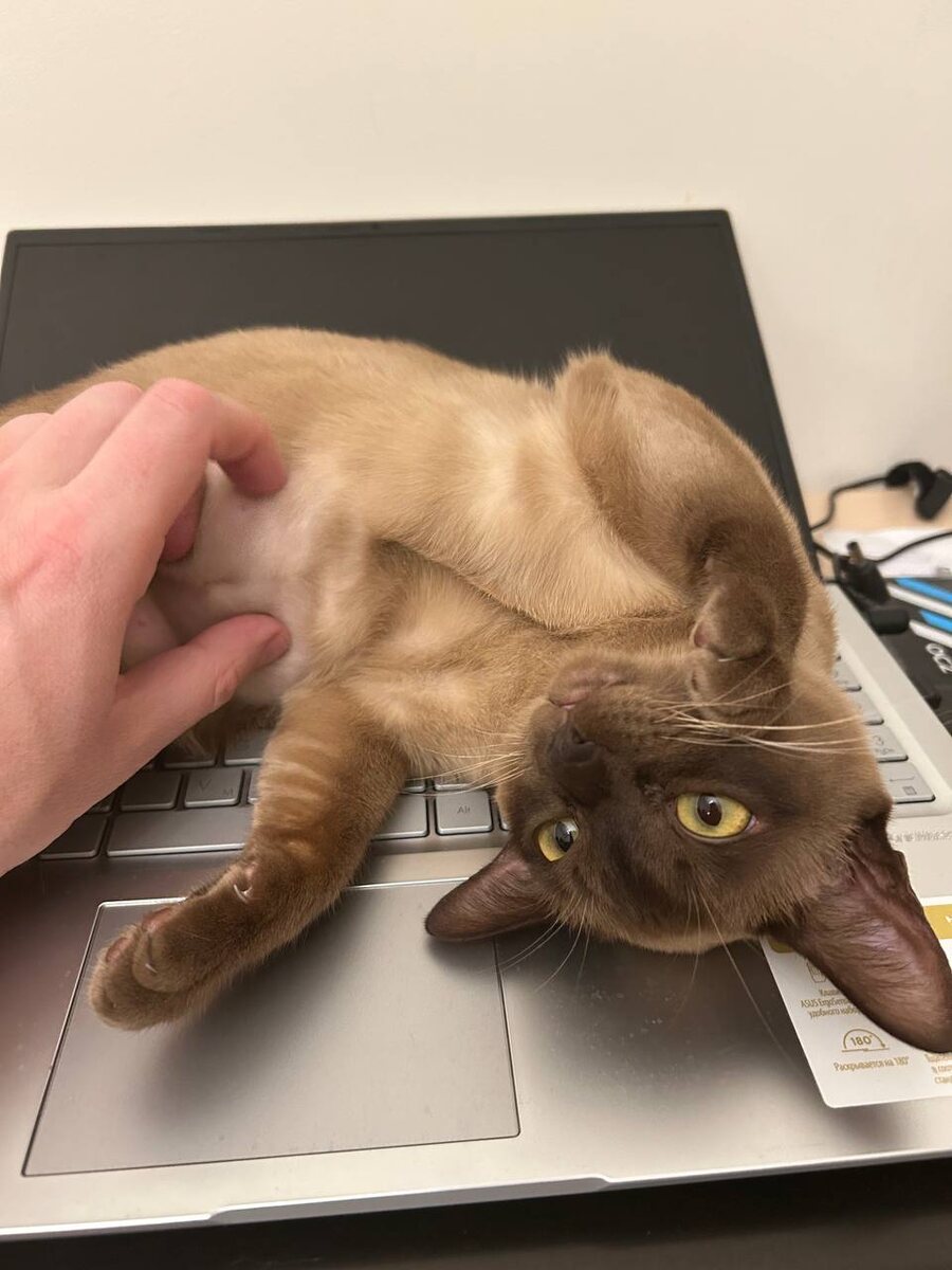 Сложно писать посты, когда клавиатура занята