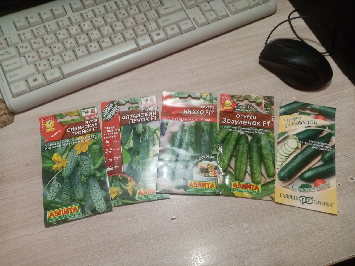  Огурчики для Теплицы!!!