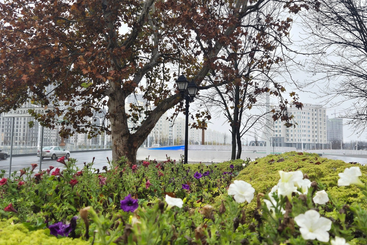    Владимир Аносов