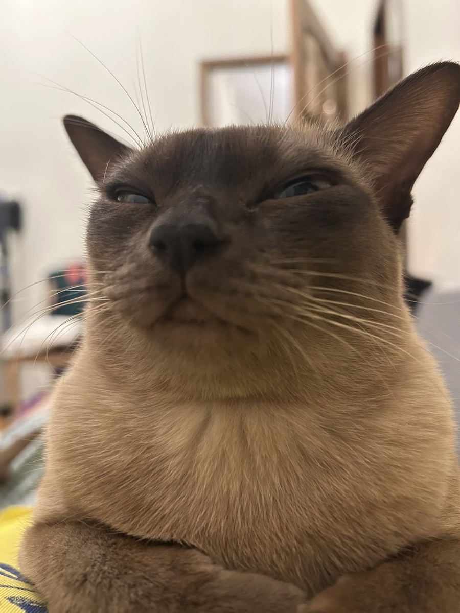 Когда написал первую часть поста