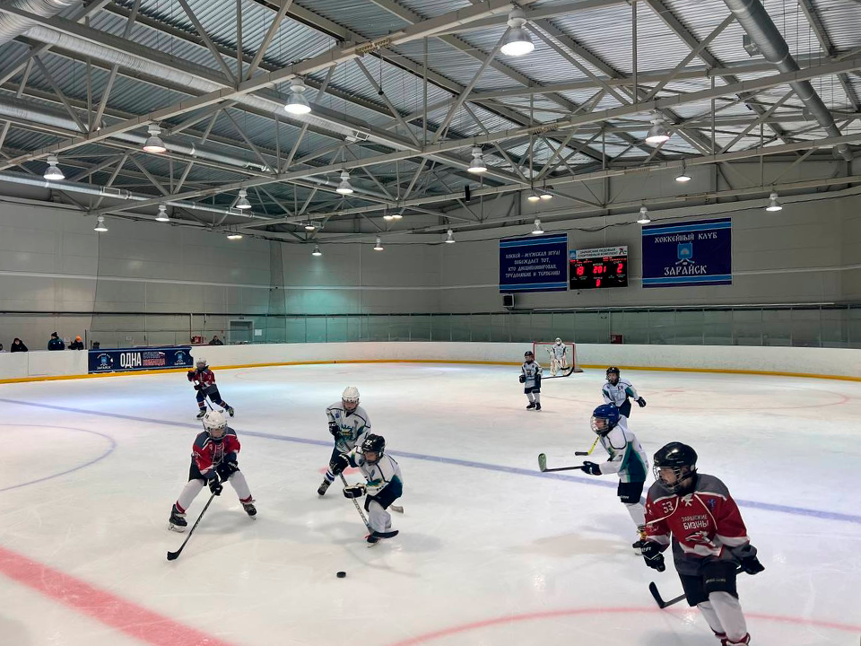   Фото: vk.com/МБУ ДО Спортивная школа по хоккею «Зарайск»