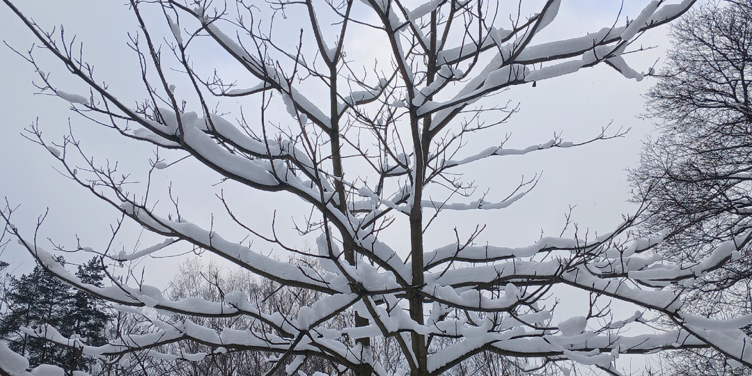 Как бороться с грехом блуда