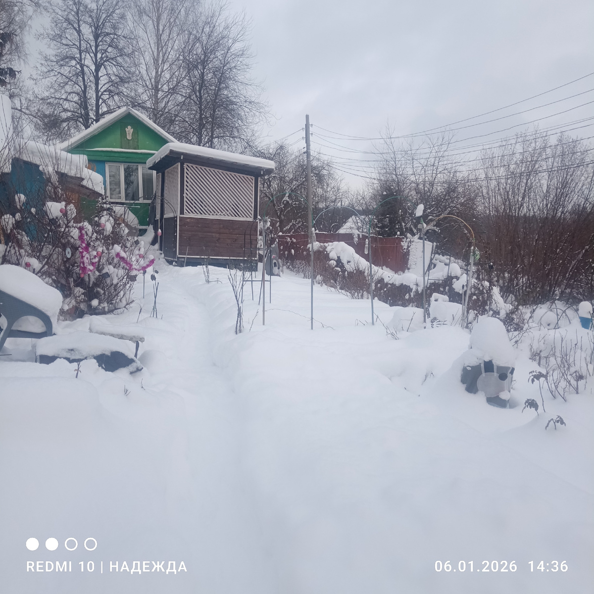 Летом здесь всё в цветах... Какие грядки? Цветам места не хватает. 