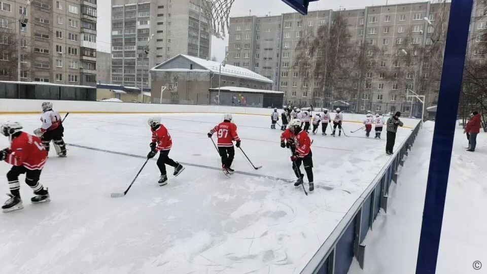    Хоккейный турнир памяти А.Л. Васильева. Источник: barnaul.org
