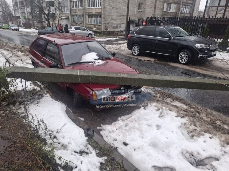     Фото: «Автокадр 46»