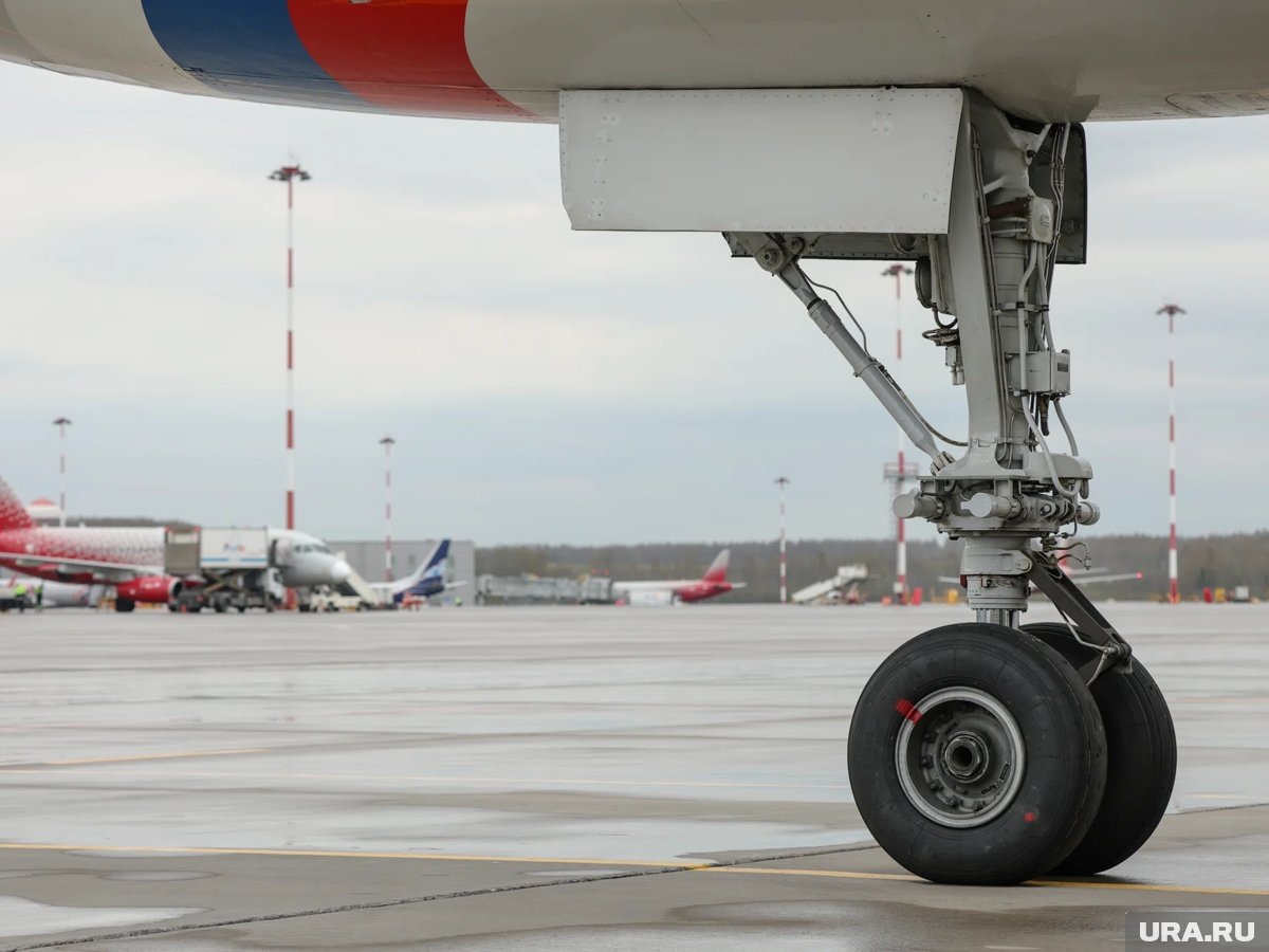     Турагента задержали в Благовещенске по подозрению в мошенничестве с клиентами