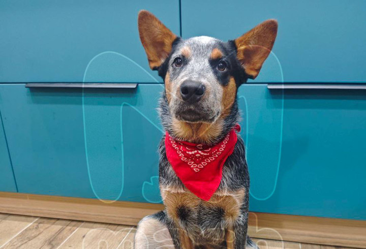 фото: @mashmoyka