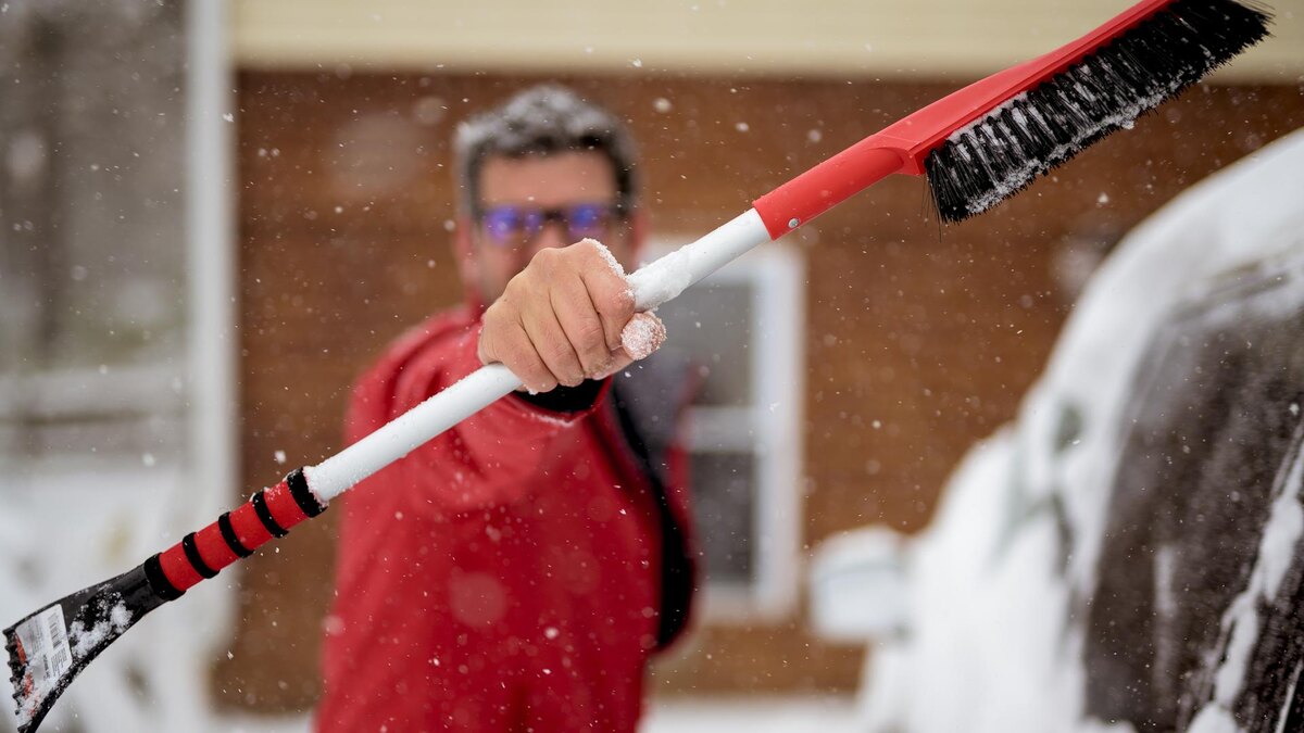 Фото: freepik.com