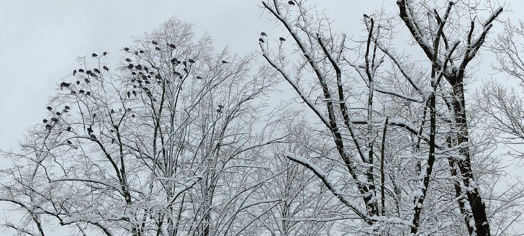 Стало известно, в каких городах Кубани обновились температурные рекорды