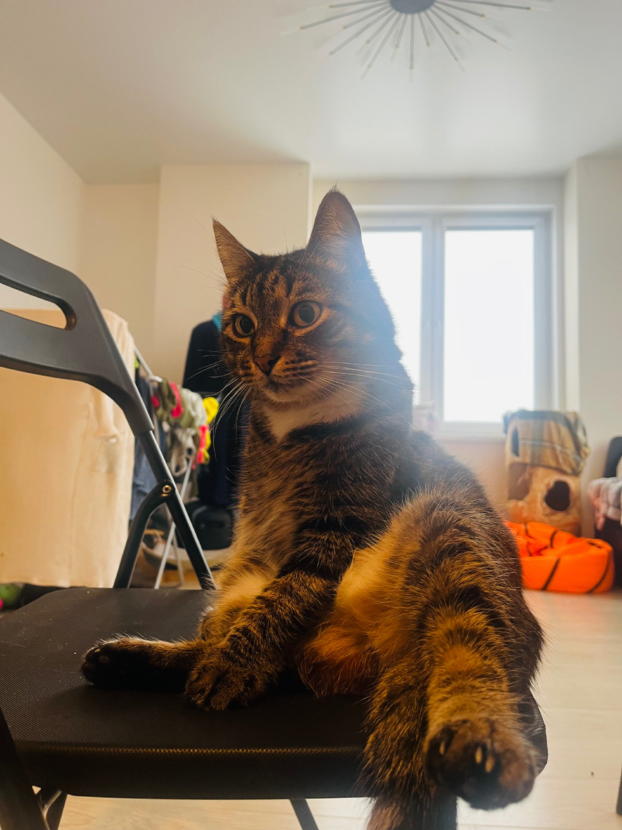 Фото автора 