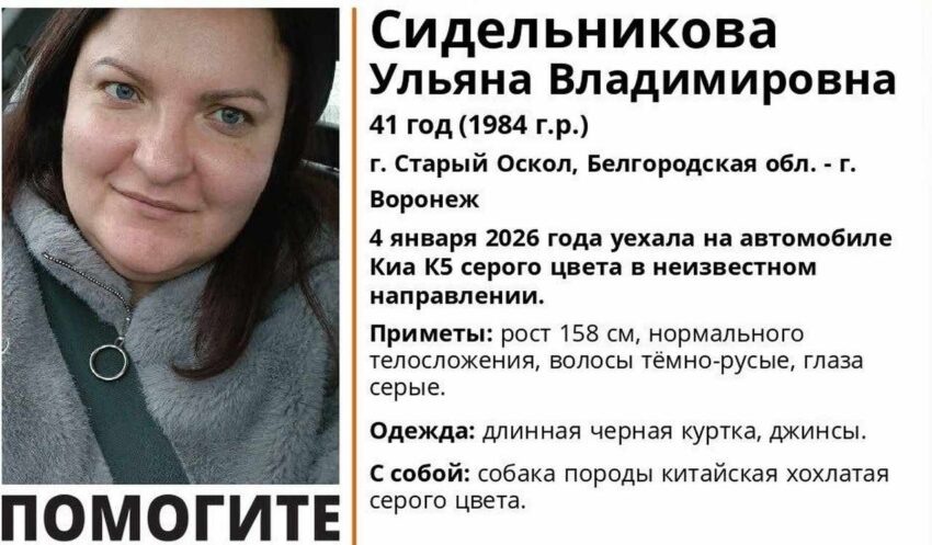    «Лиза Алерт».