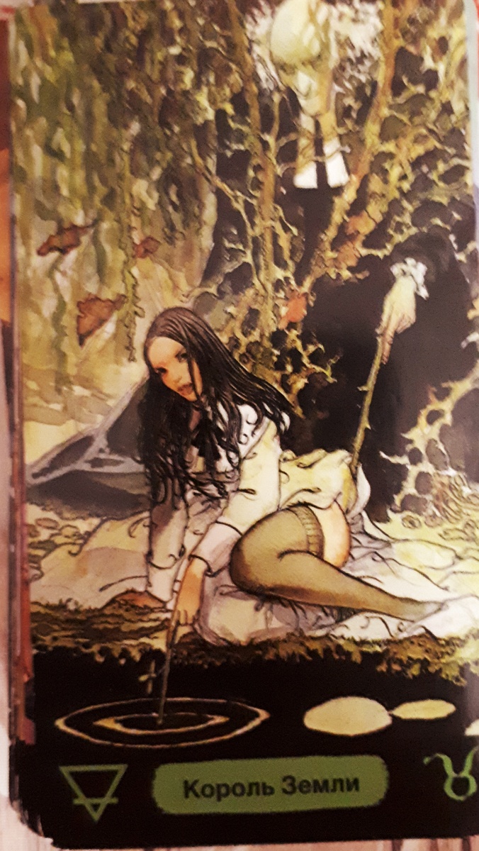 Фото автора 09.01.2026г. Колода МАНАРА