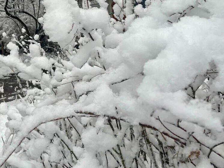     Фото МК в Рязани