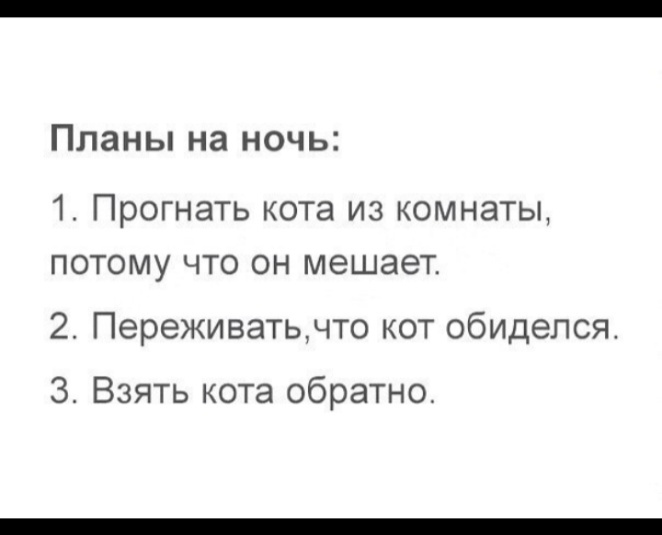 Из любимого. Со мной каждую ночь спят двое не маленьких— Тема и Бука