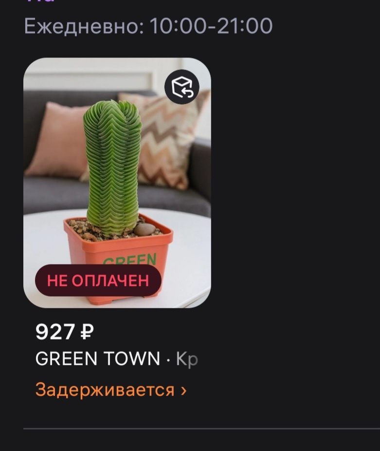Я ждала это растение со 2 января. 9 января приступила к посадке, не дождавшись свою крассулу....