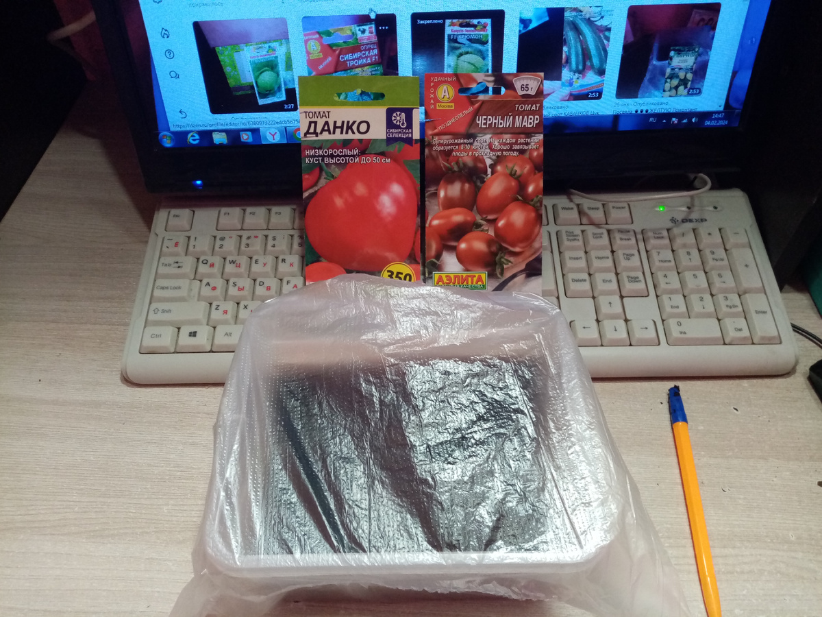 Посеяла в Феврале Помидоры сорта ЧЁРНЫЙ МАВР и мой любимый ДАНКО!!!