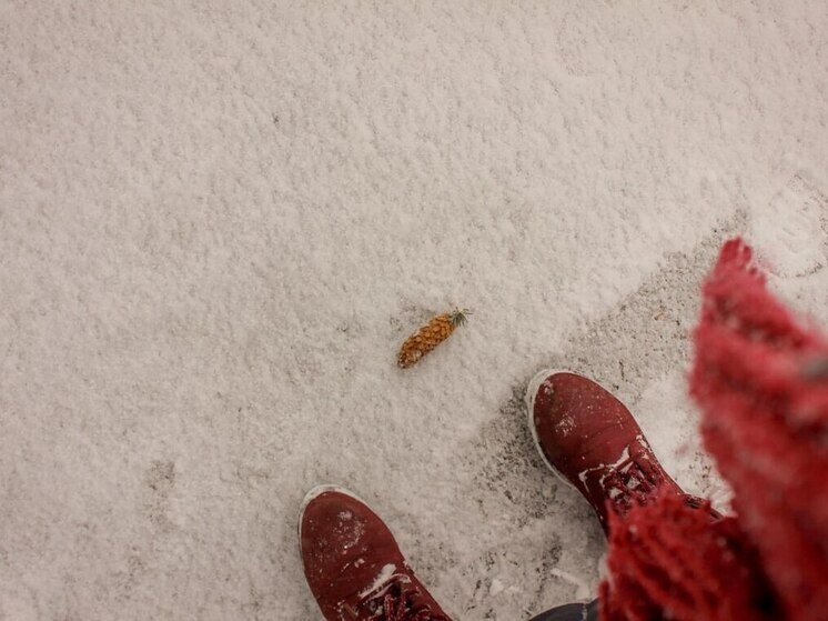     Фото: архив МК в Ленобласти.