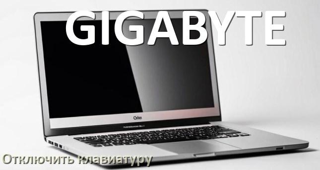 
Как отключить клавиатуру ноутбука GIGABYTE на Windows 11 и 10