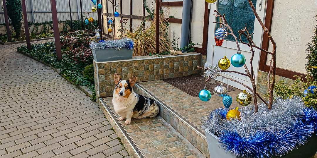 Последний день нашего праздничного крыльца и ожидание второй зимы