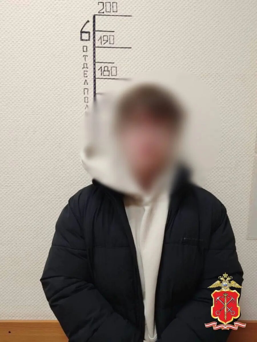    Фото: пресс-служба ГУ МВД по Петербургу и Ленобласти