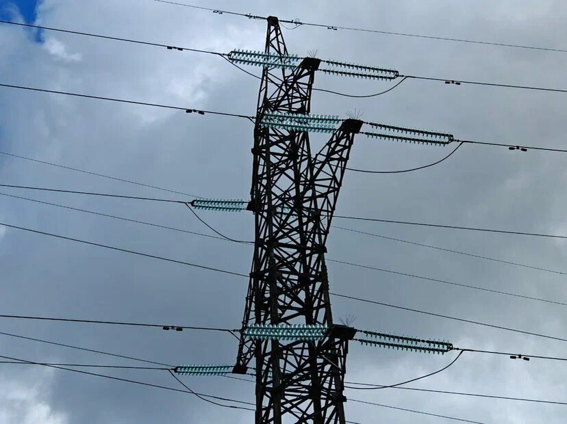    Фото: Юрий Серебренников/BFM Кубань