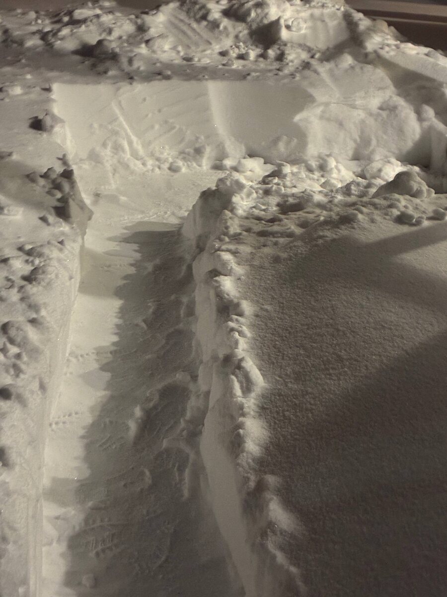 Это мама прочистила себе выход из дома