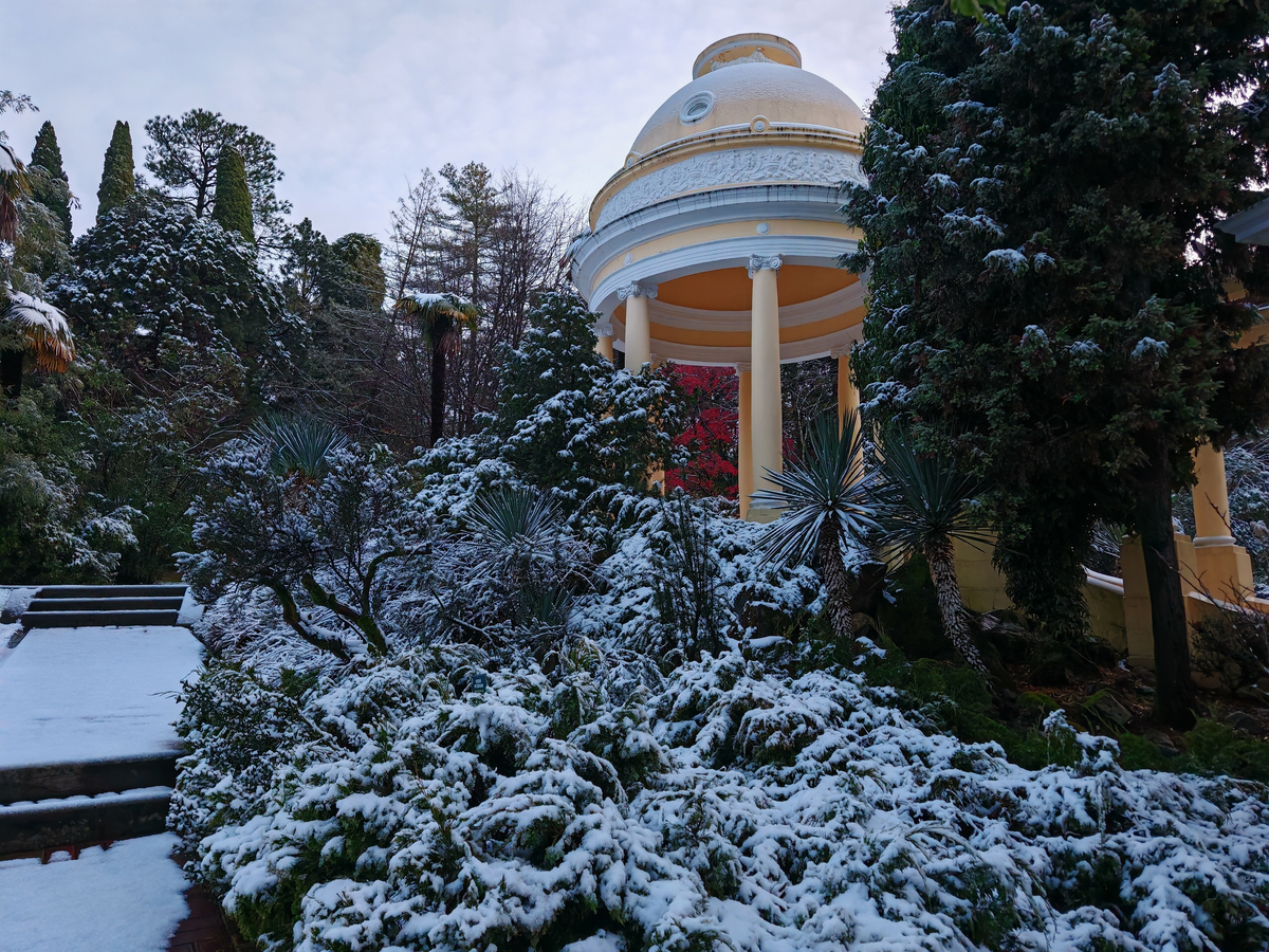    Фото: сообщество сочинского парка «Дендрарий» (Вконтакте)