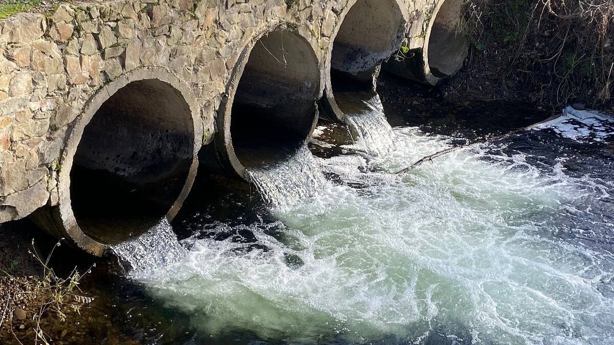    Фото: телеканал «Краснодар»