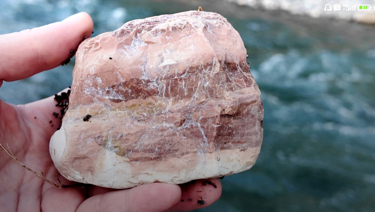 Мраморизированный известняк с кальцитными прожилками. Река Сочи