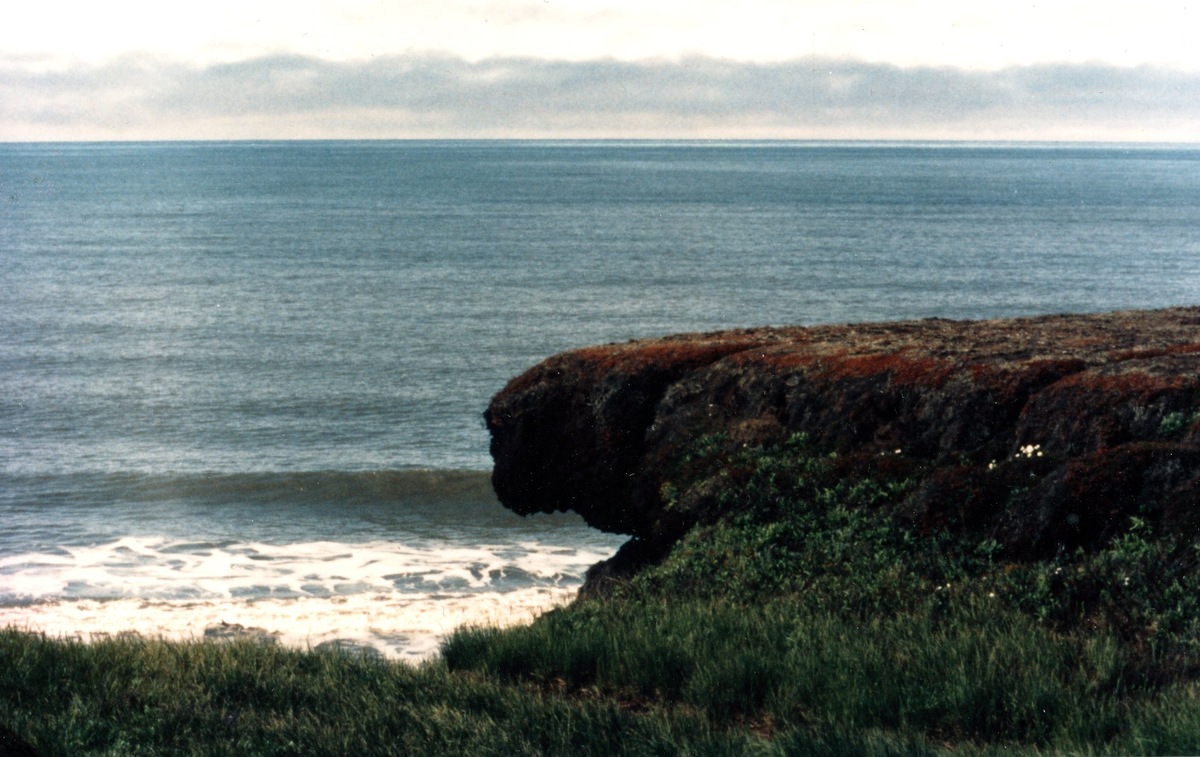 Остров Колгуев. Фото Василия Голованова