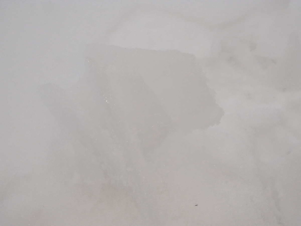 Плохо видно, корка на снегу