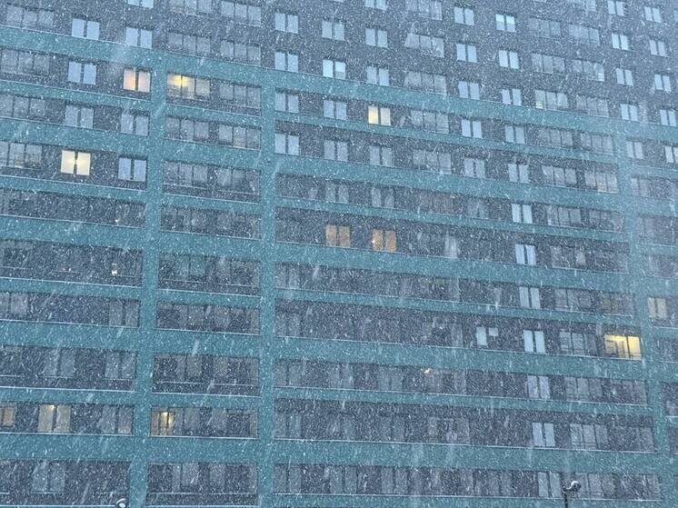     Днем и ночью в городе пройдет снег. Местами осадки будут умеренными, а в отдельных районах возможна метель. Фото: архив МК в Питере.
