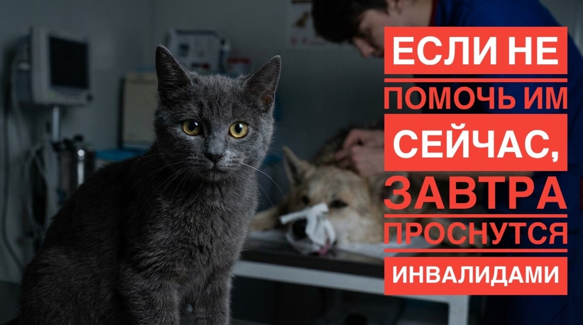 У нас АВРАЛ! Катастрофа! Обратиие внимание на нас, пожалуйста... 