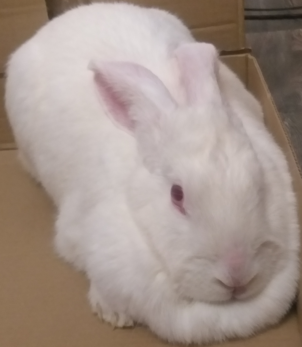 Помните такую?