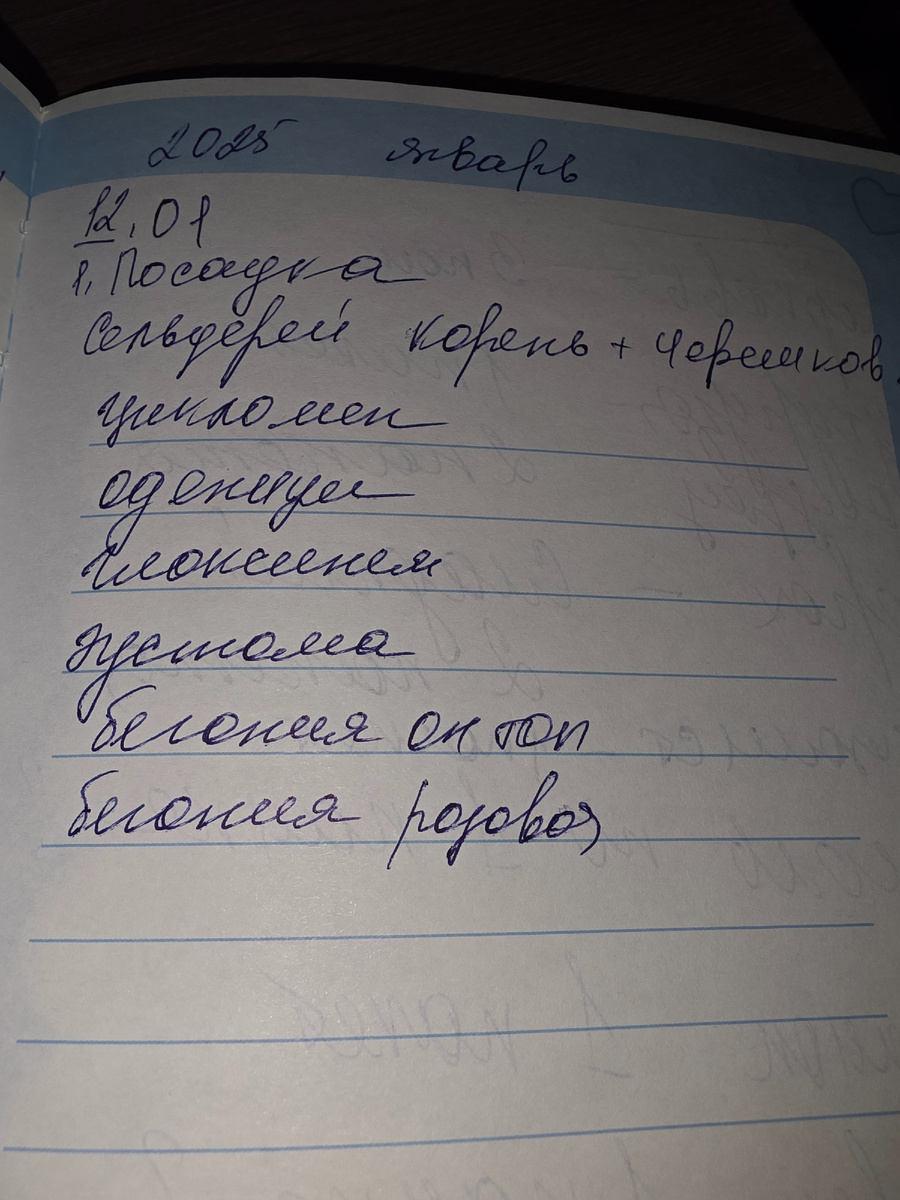 Записи с 2025 года