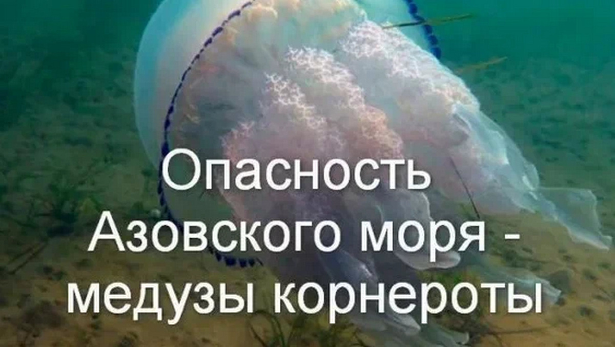 Из интернета.