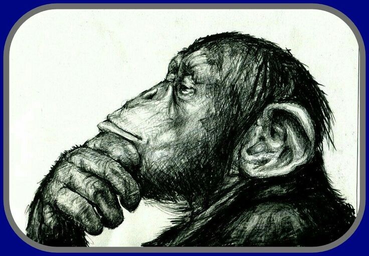 картинка из интернета