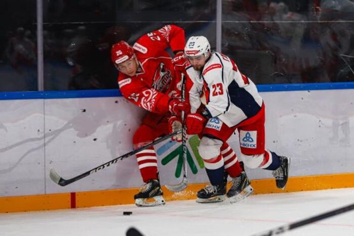 Иллюстрация: предоставлено пресс-службой ХК "Ростов"