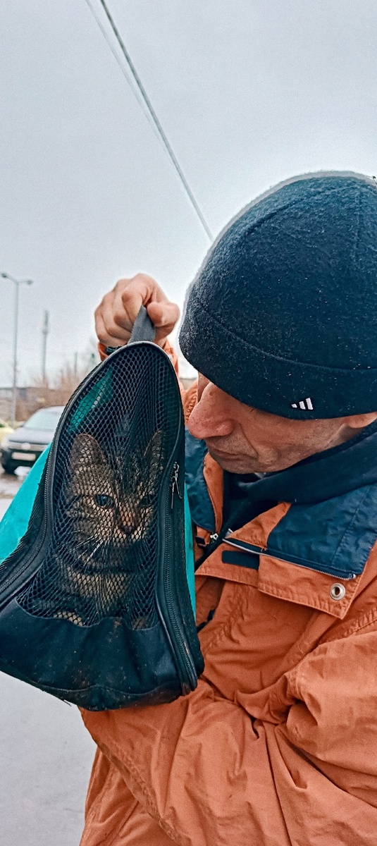 Котик настоящий красавчик