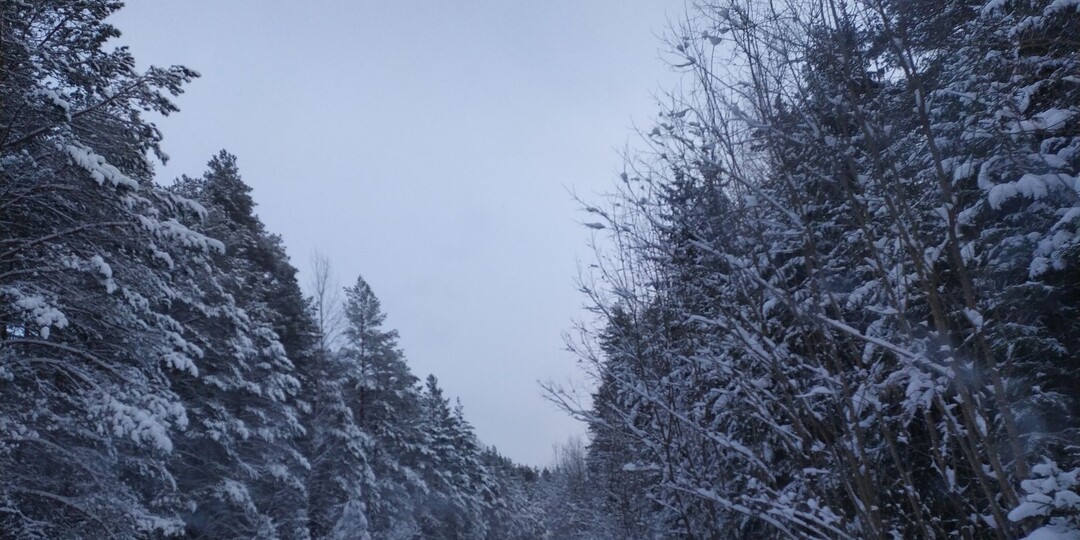 МЧС предупреждает о сильном снегопаде в Великих Луках