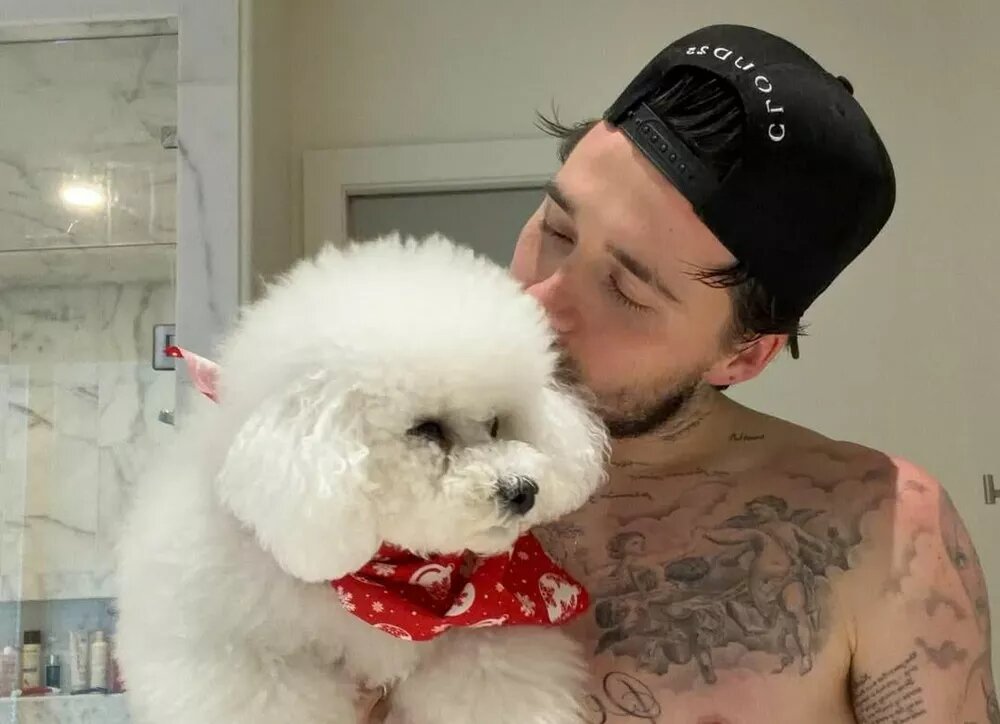    Бруклин Бекхэм заявил, что будет общаться с родителями только через адвокатов