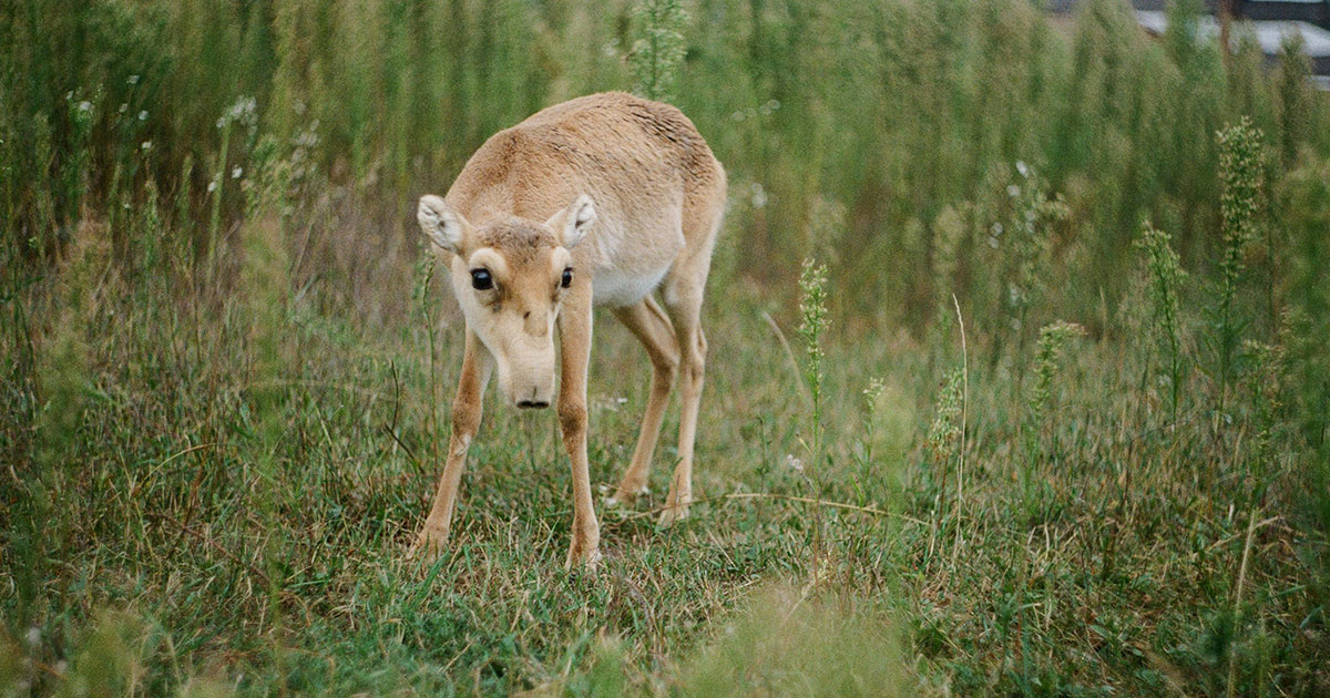 Dasha Urvachova / Unsplash