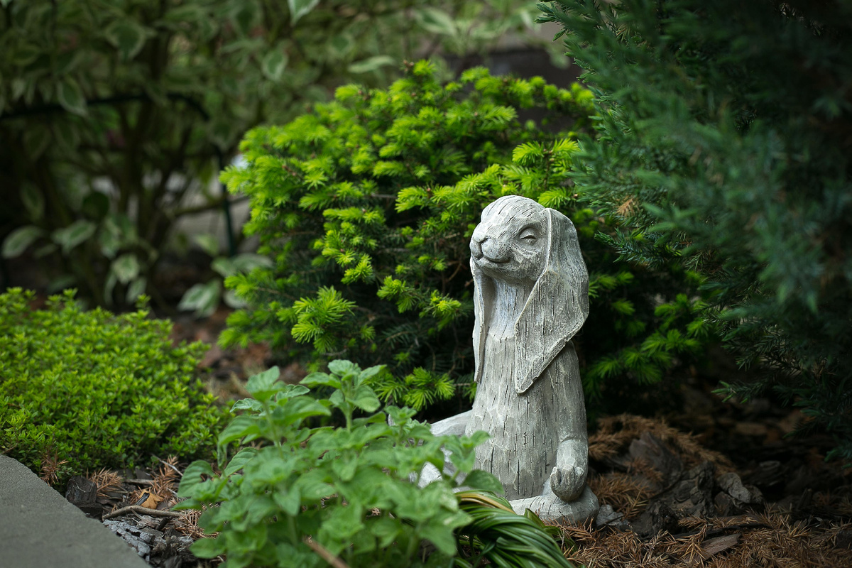 Автор фото Елена Якимова / Greenfingers