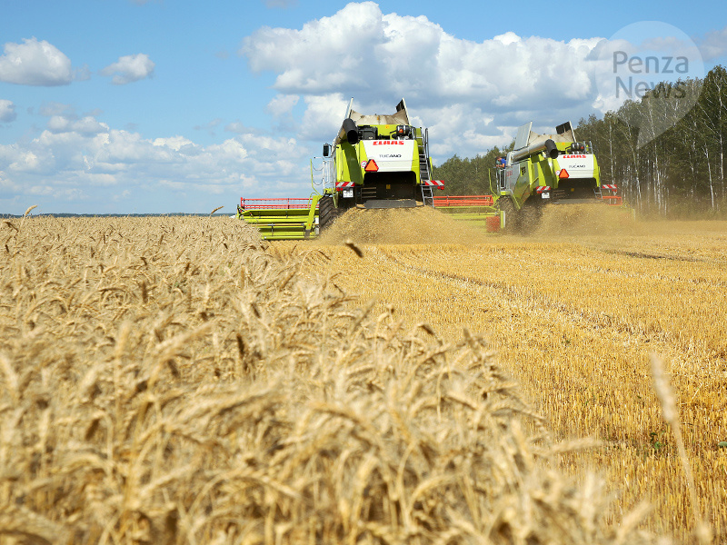    © Фото из архива ИА «PenzaNews»