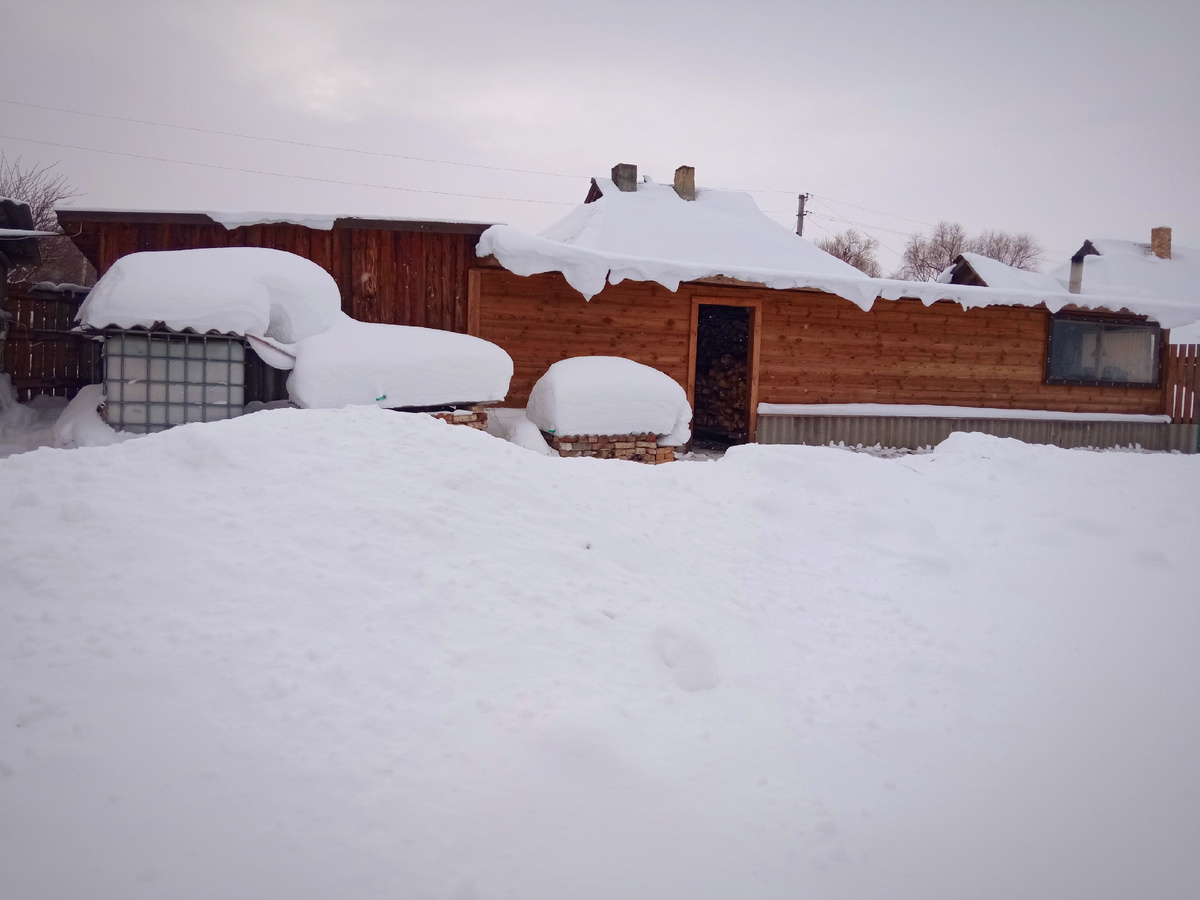 Зима 2026. Фото автора