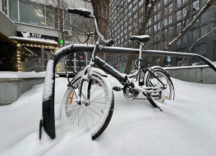 Обложка © Life.ru