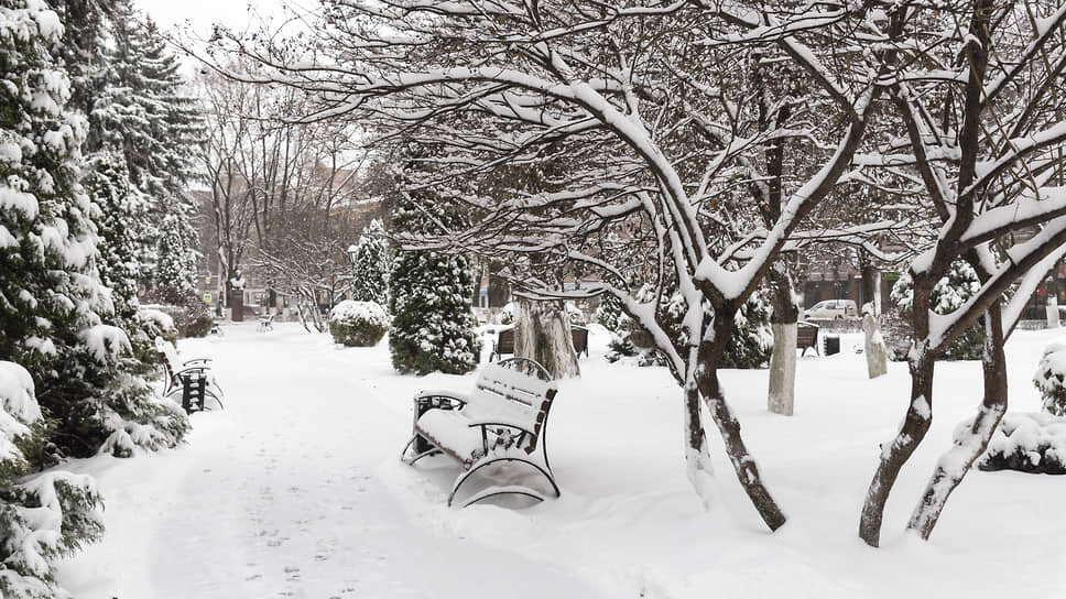 Фото: Игорь Елисеев / Коммерсантъ
