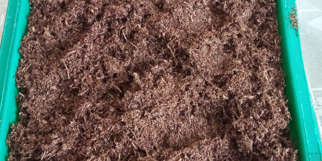 Тестирую новый грунт.